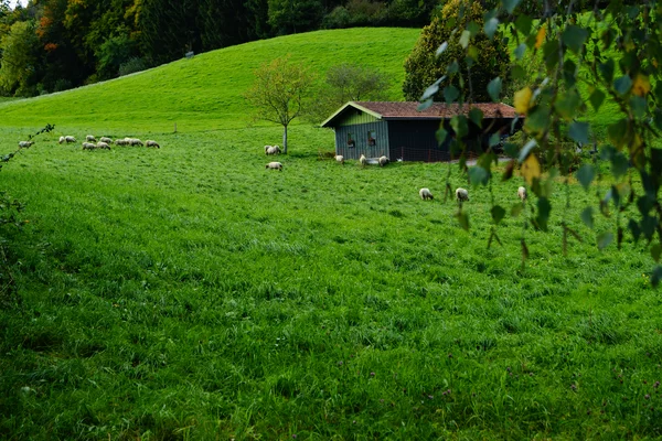 Landschaft um Maitenbeth